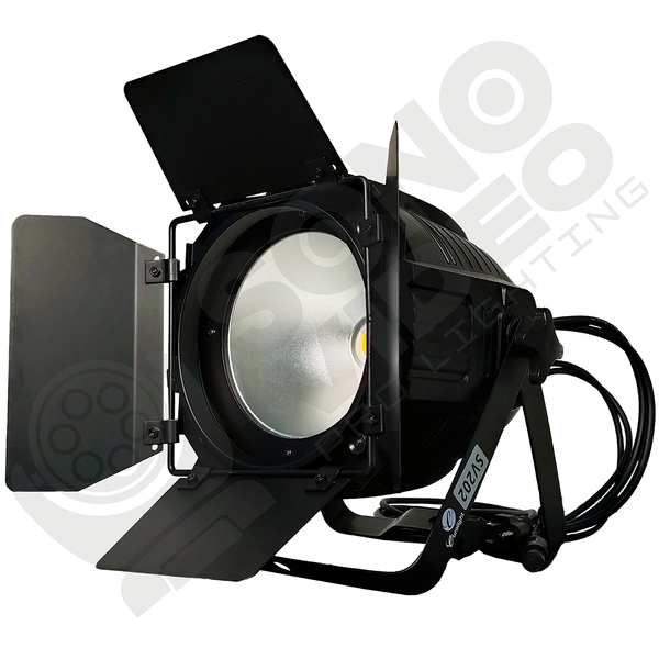 Cob Dual 100W - SV100D